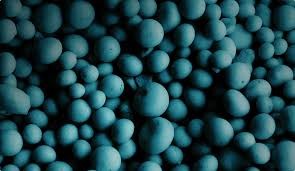 YaraMila Viking 14-14-21 baner.jpg