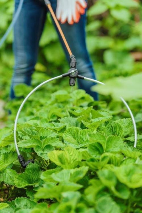 Przyłącze do upraw rzędowych baner1.jpg