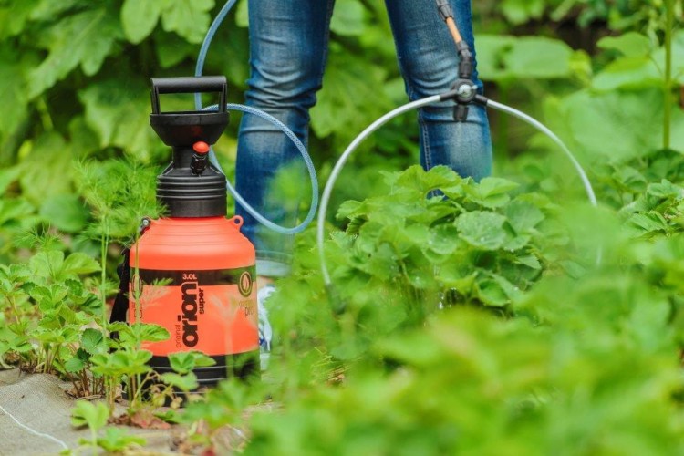 Przyłącze do upraw rzędowych baner2.jpg