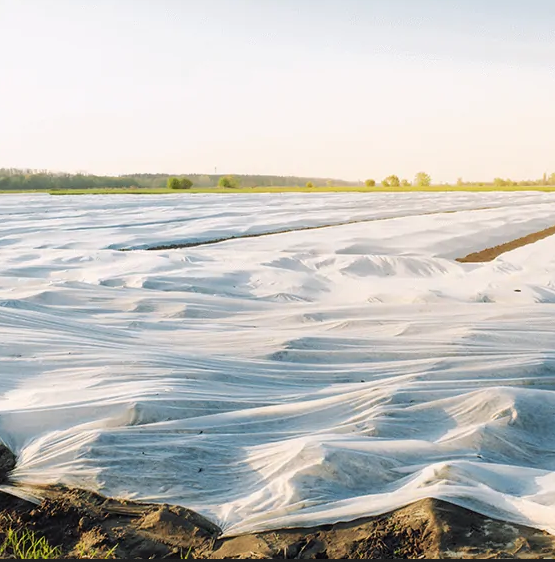 Agrowłknina Pegas Agro osłaniająca jesienno-zimowa 23g baner5.png