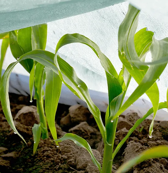 Agrowłknina Pegas Agro osłaniająca jesienno-zimowa 23g baner4.png