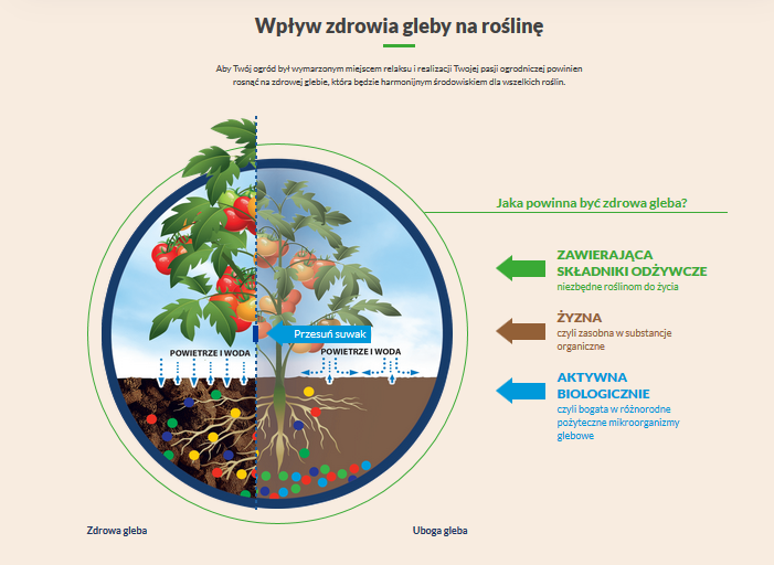 Nawozy Mikroflora baner2.png