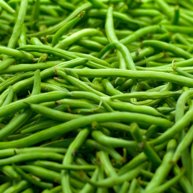 Seminis Fasola karłowa Paulista 100.000 N baner2.jpg