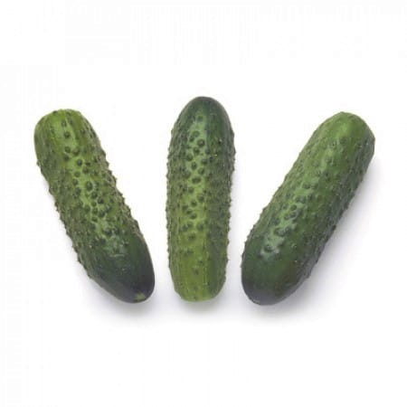 Ogórek Gruntowy Sonate F1 2,5 tyś. nasion.jpg