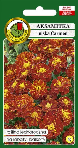 aksamitka niska carmen-OK-498-12.jpg