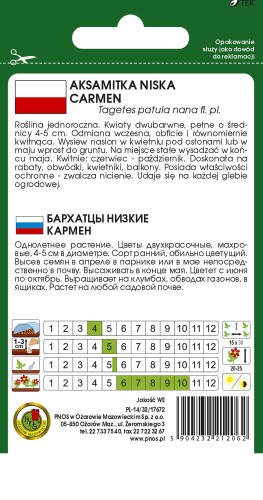 aksamitka niska carmen-OK-498-12-TYL.jpg