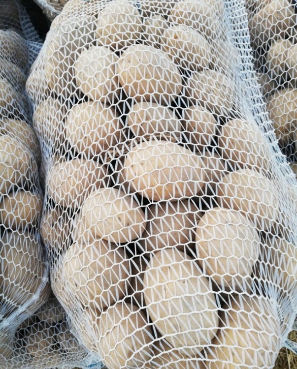 Worki raszlowe z zaciągiem białe 15kg (100szt) baner2.jpg