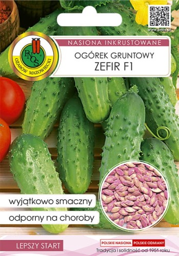 ogorek zefir-OW-1055-16-g-INKR.jpg
