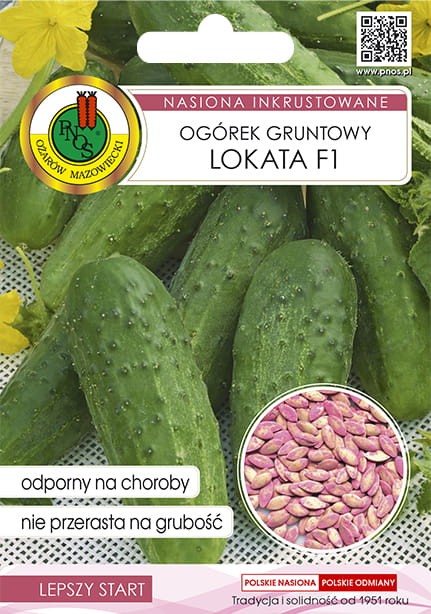 ogorek lokata-OW-1049-16-g-INKR.jpg