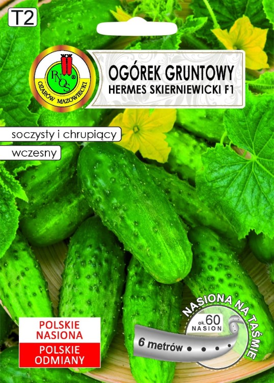 5904232001857_OGÓREK GRUNTOWY HERMES SKIERNIEWICKI F1_front.jpg