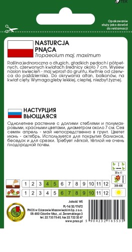 nasturcja pnaca czerwona-OK-55-12-TYL.jpg