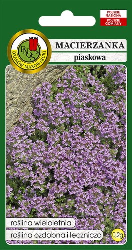 macierzanka piaskowa-OK-109-12.jpg