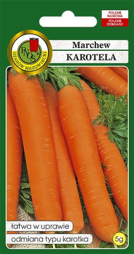 marchew karotela-OW-977-12.jpg