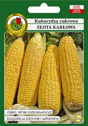 kukurydza zlota karlowa-OW-409a-12-g.jpg
