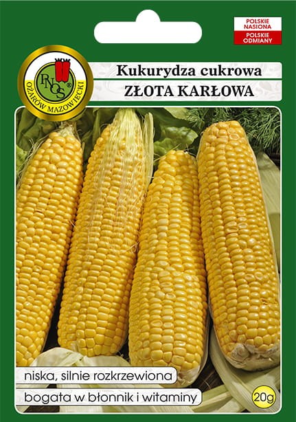 kukurydza zlota karlowa-OW-409a-12-g.jpg
