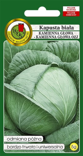 kapusta kamienna glowa kamienna glowa OZJ OW-72h-12.jpg