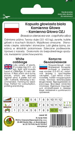 kapusta kamienna glowa kamienna glowa OZJ OW-72h-12-TYL.jpg