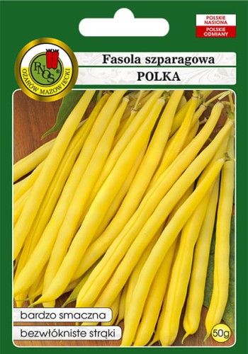 fasola polka-OW-353-12-g-PP.jpg