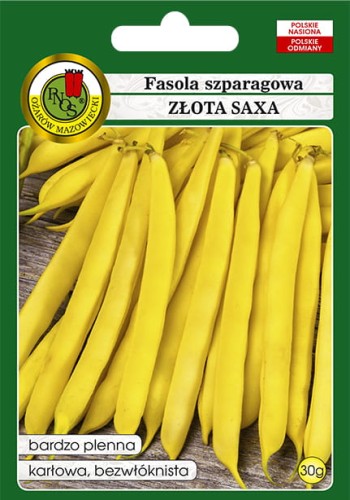 fasola zlota saxa-OW-329a-12-g.jpg