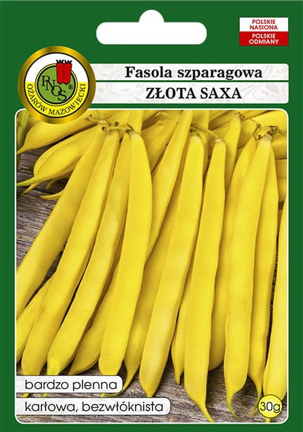 fasola zlota saxa-OW-329a-12-g.jpg