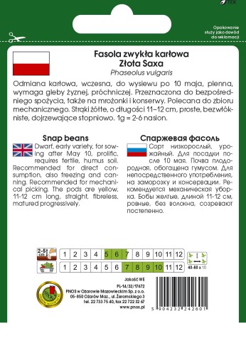 fasola zlota saxa-OW-329a-12-g-TYL.jpg