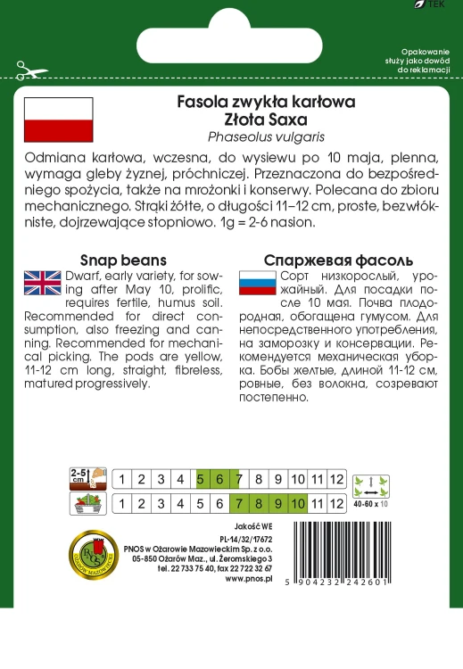 fasola zlota saxa-OW-329a-12-g-TYL.jpg