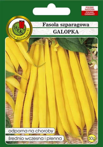fasola galopka-OW-352-12-g-PP.jpg