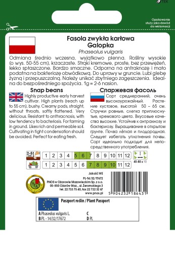 fasola galopka-OW-352-12-g-PP-TYL.jpg