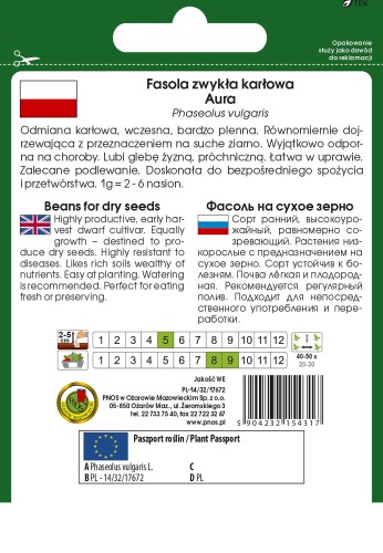 fasola aura-OW-67-12-g-PP-TYL.jpg