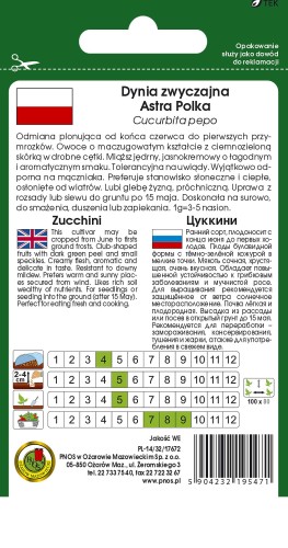 cukinia astra polka-OW-362b-12-TYL.jpg