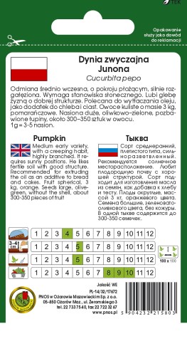 dynia junona-OW-537a-12-TYL.jpg