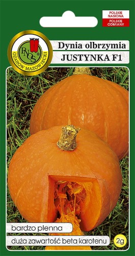 dynia justynka-OW-708-12.jpg