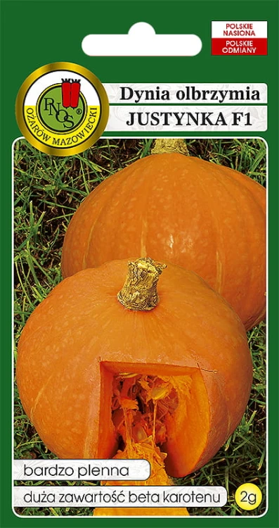dynia justynka-OW-708-12.jpg