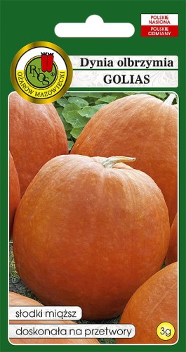dynia golias-OW-983-12.jpg