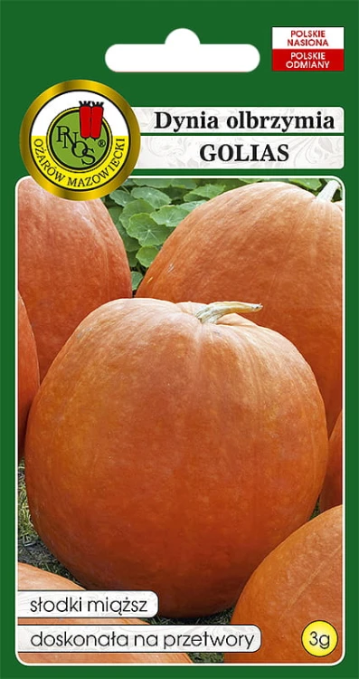 dynia golias-OW-983-12.jpg