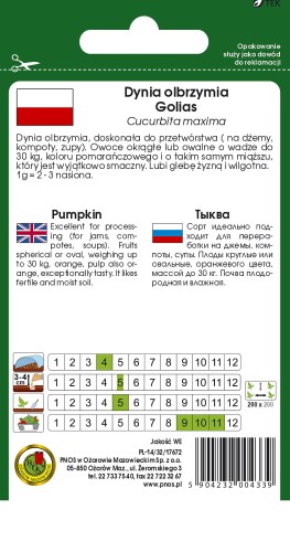 dynia golias-OW-983-12-TYL.jpg
