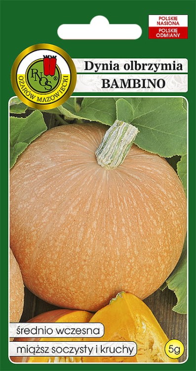 dynia bambino-OW-182-12.jpg