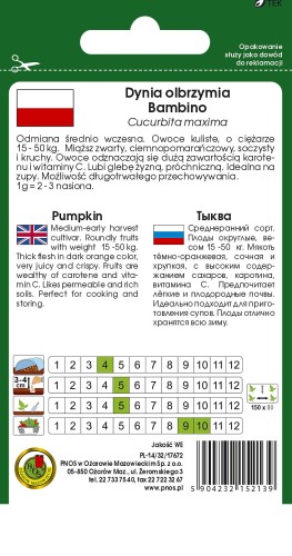 dynia bambino-OW-182-12-TYL.jpg