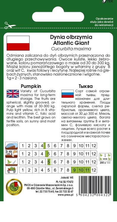 dynia atlantic giant-OW-982-12-TYL.jpg