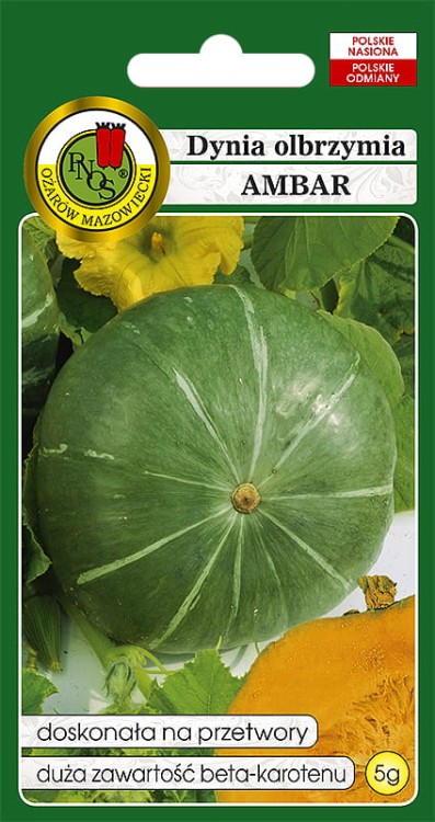 dynia ambar-OW-64b-12.jpg