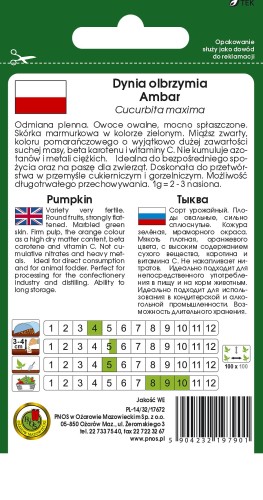 dynia ambar-OW-64b-12-TYL.jpg