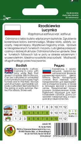 rzodkiewka lucynka OW-481-12-TYL.jpg