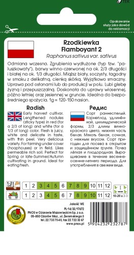 rzodkiewka flamboyant 2-OW-643-12-TYL.jpg