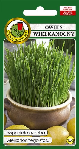 Owies wielkanocny-OW-917-12.jpg