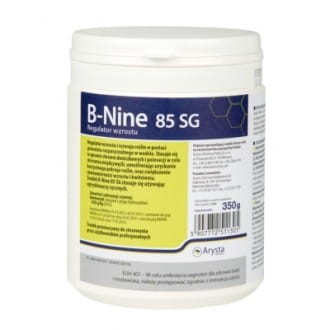 B-Nine 85 SG.jpg
