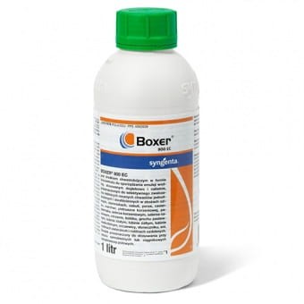 Boxer 800 EC 1l.jpg