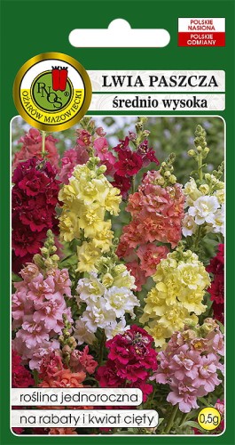 Lwia paszcza srednio wysoka mix-OK-338-12.jpg