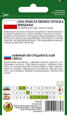 Lwia paszcza srednio wysoka mix-OK-338-12-TYL.jpg