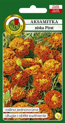 aksamitka niska pirat-OK-610-12.jpg