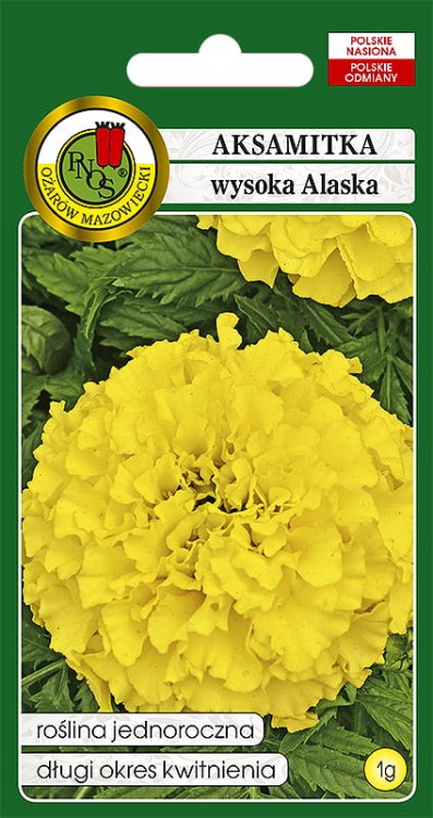 aksamitka wysoka alaska-OK-111a-12.jpg